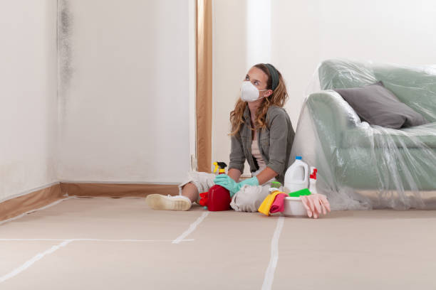 Reliable Black Mold Removal contractor in Salem, NJ by WQB Mold Removal